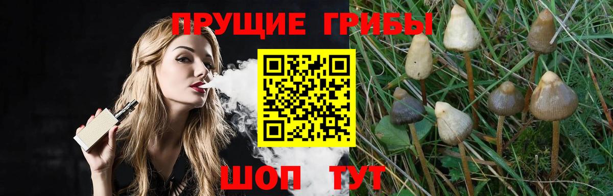 купить   Галлюциногенные грибы прущие грибы  Вход с VPN  Щёлково 