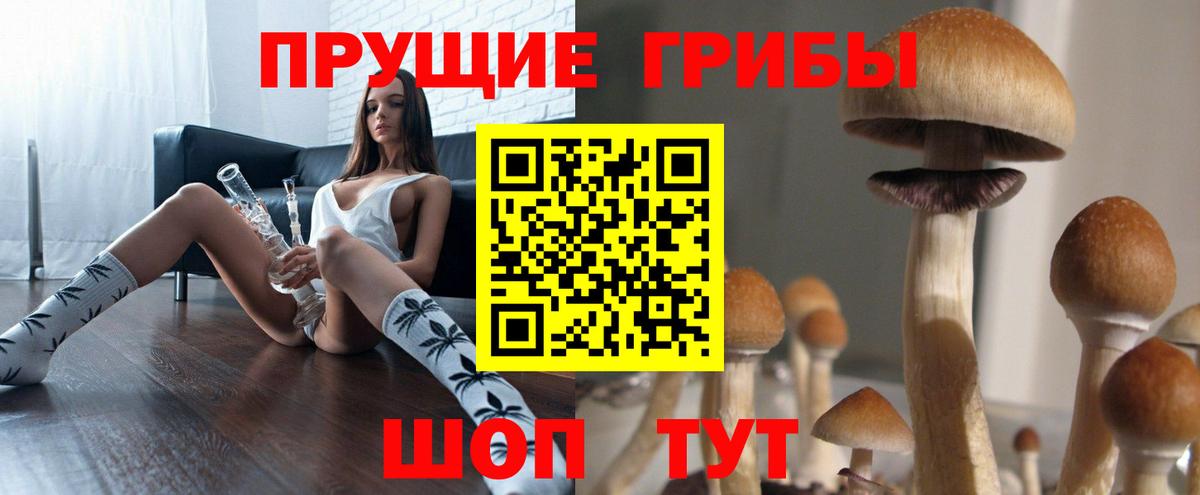 Псилоцибиновые грибы Magic Shrooms Щёлково